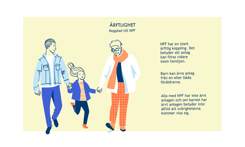 Ärftlighet kopplad till NPF. Illustration av en familj och text om att NPF kan ärvas.